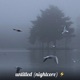 Untitled Nightcore Single