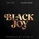 BLACK JOY feat Alaina Renae Radio Edit Single