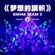 梦想的旗帜 上