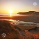 sleepy meadow Single