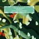 Dubdogs Fiona Kraft Remix Single