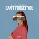Can t Forget You Single