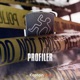 Profiler