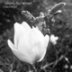 Fascination Single
