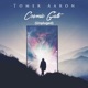Cosmic Gate Unplugged Single