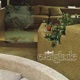 Everglade Single