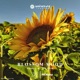Blossom Mood Single