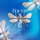 Focus Single