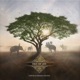 Tree of Life EP