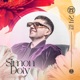 Simon Doty at CRSSD Festival Spring 24 City Steps DJ Mix