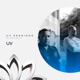 UV Sessions 005 DJ Mix