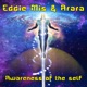 Awareness of the Self Single