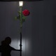 LOVE GOES NUMB EP