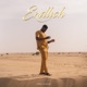 Endlich Single