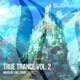 True Trance Vol 2 Mixed By Luke Terry DJ Mix
