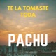Te la Tomaste Toda feat Chinguenwencha Single