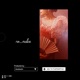 No malice Single
