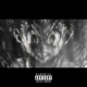 Niggagotmefuckedup 2 Single