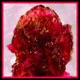 Fuchsia EP