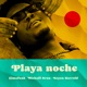 Playa Noche Single