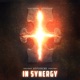 In Synergy Single