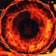 locked in the cage Single