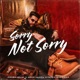 SORRY NOT SORRY Single
