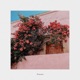 Primavera Single