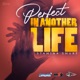 Perfect in Another Life Single