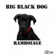 Big Black Dog Single