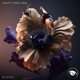 Solstice Single