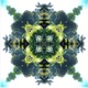 New Growth Single