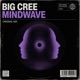 Mindwave Single