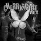 BUTTERFLY Vol 4