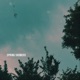 Spring Showers Single
