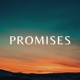 Promises Instrumental Single