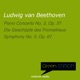 Green Edition Beethoven Piano Concerto No 3 Op 37 Symphony No 5 Op 67