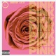 Pink feat A N T16 Single