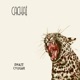 Cougar Single