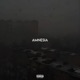 Amnesia Single