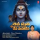 Shiva Stuthi Deva Mahadeva Single