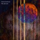 The 5th Law EP