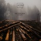 Expansion Single