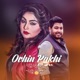 Ochin Pakhi Single