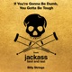 If You re Gonna Be Dumb You Gotta Be Tough from jackass best and last Single