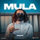 Mula Single