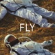 Fly Single