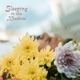 Sleeping in the Meadows EP