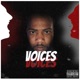 Voices Single