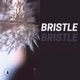Bristle Single